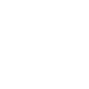 Big Fish Creative Logo Frame White